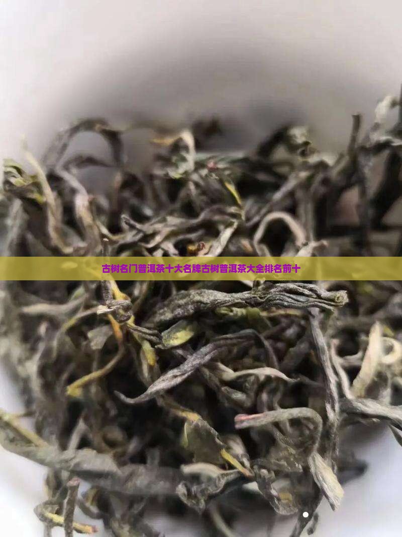 古树名门普洱茶十大名牌古树普洱茶大全排名前十