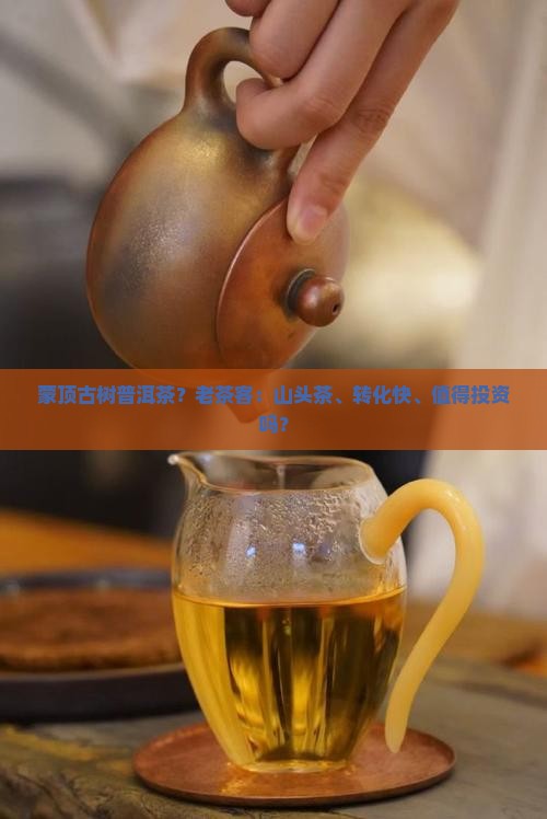 蒙顶古树普洱茶？老茶客：山头茶、转化快、值得投资吗？