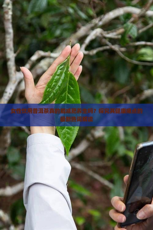 女性饮用普洱茶真的能减肥养生吗？探究其健康痛点的最新热词解读