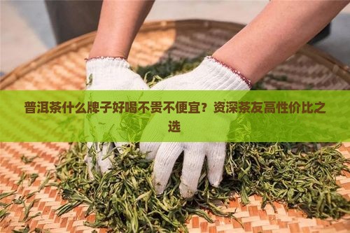 普洱茶什么牌子好喝不贵不便宜？资深茶友高性价比之选
