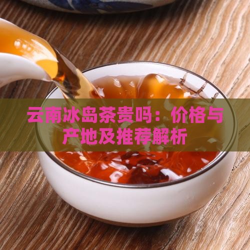 云南冰岛茶贵吗：价格与产地及推荐解析