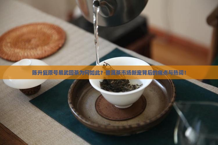 陈升复原号易武园茶为何如此？普洱茶市场新宠背后的痛点与热词！