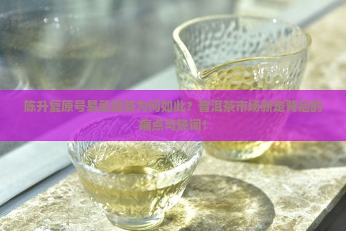 陈升复原号易武园茶为何如此？普洱茶市场新宠背后的痛点与热词！