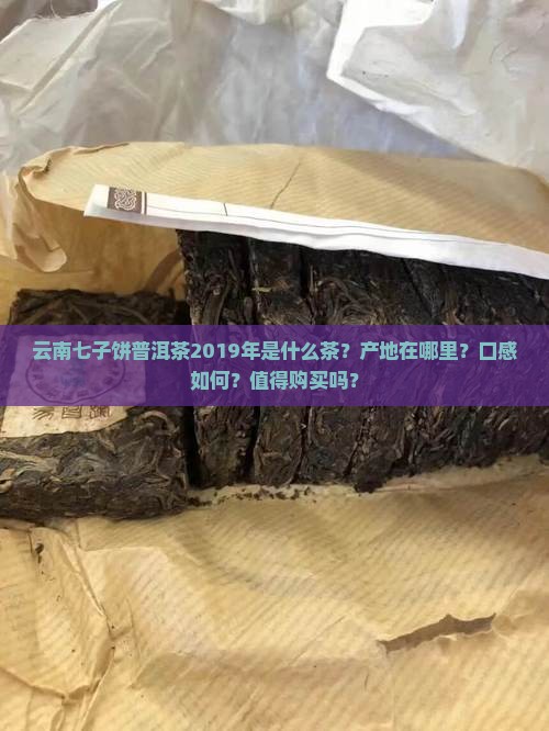 云南七子饼普洱茶2019年是什么茶？产地在哪里？口感如何？值得购买吗？