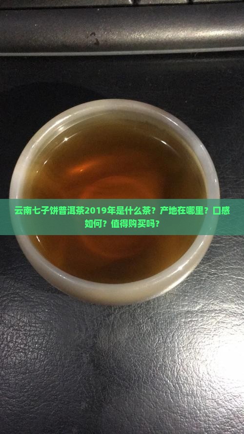 云南七子饼普洱茶2019年是什么茶？产地在哪里？口感如何？值得购买吗？