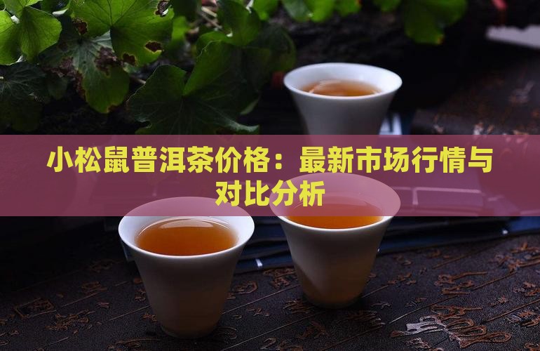 小松鼠普洱茶价格：最新市场行情与对比分析