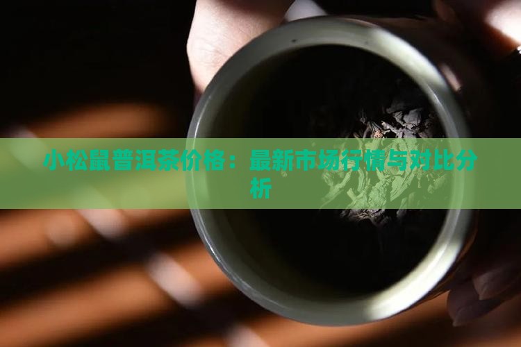 小松鼠普洱茶价格：最新市场行情与对比分析