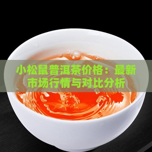 小松鼠普洱茶价格：最新市场行情与对比分析
