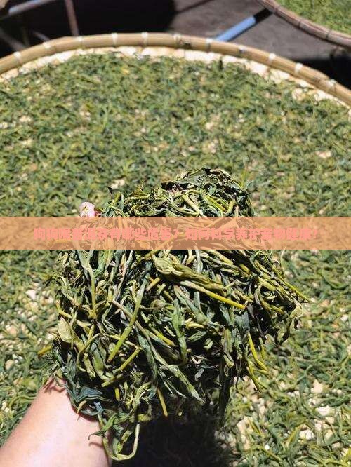狗狗喝普洱茶有哪些危害？如何科学养护宠物健康？