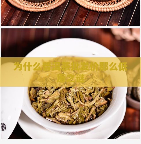 为什么普洱茶批发价那么低廉之谜