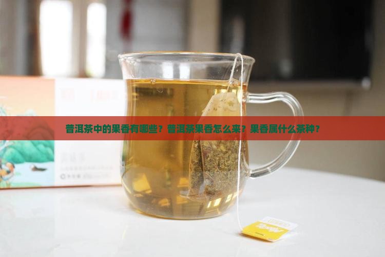 普洱茶中的果香有哪些？普洱茶果香怎么来？果香属什么茶种？