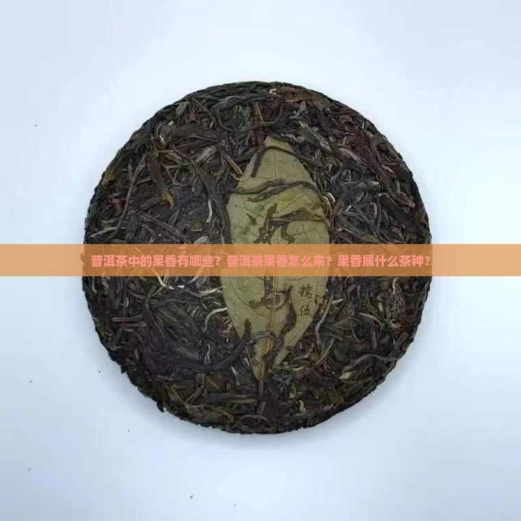 普洱茶中的果香有哪些？普洱茶果香怎么来？果香属什么茶种？