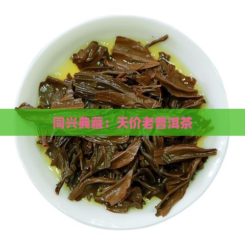 同兴典藏：天价老普洱茶
