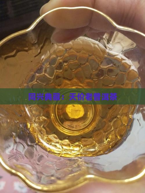 同兴典藏：天价老普洱茶