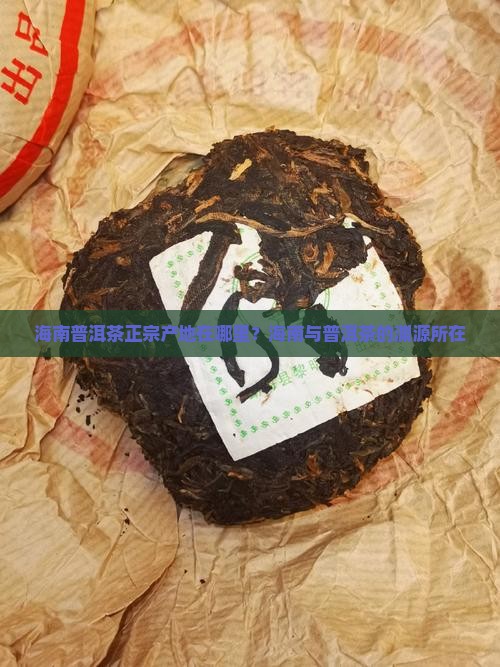 海南普洱茶正宗产地在哪里？海南与普洱茶的渊源所在
