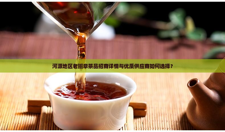 河源地区老班章茶品招商详情与优质供应商如何选择？
