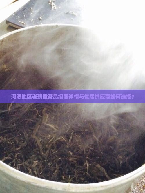 河源地区老班章茶品招商详情与优质供应商如何选择？