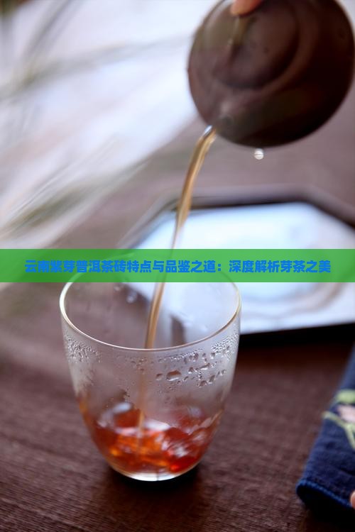 云南紫芽普洱茶砖特点与品鉴之道：深度解析芽茶之美