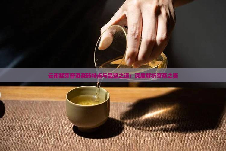 云南紫芽普洱茶砖特点与品鉴之道：深度解析芽茶之美