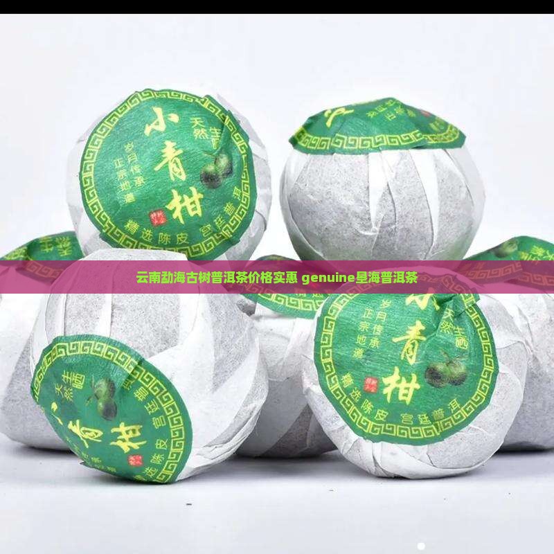 云南勐海古树普洱茶价格实惠 genuine垦海普洱茶