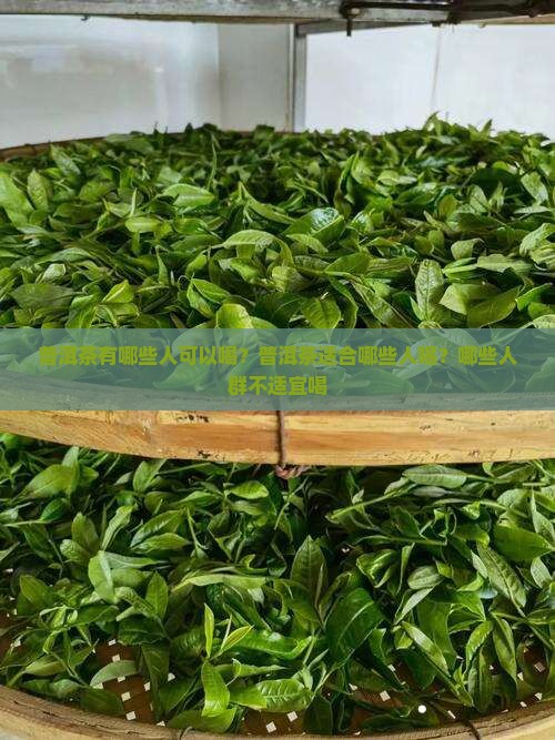 普洱茶有哪些人可以喝？普洱茶适合哪些人喝？哪些人群不适宜喝