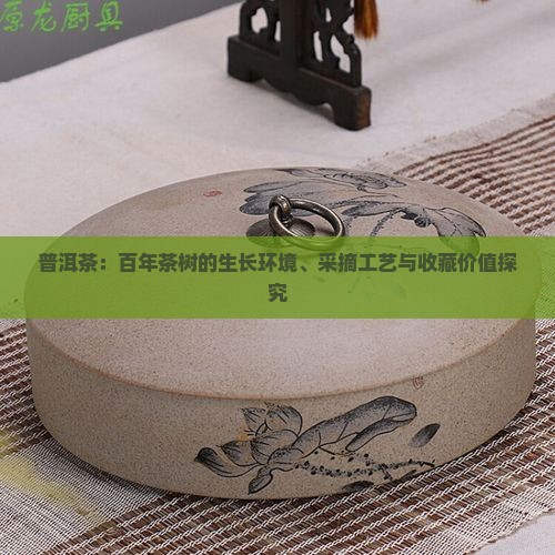 普洱茶：百年茶树的生长环境、采摘工艺与收藏价值探究