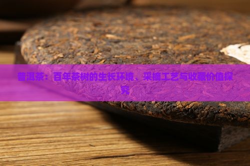 普洱茶：百年茶树的生长环境、采摘工艺与收藏价值探究