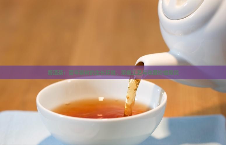 普洱茶：百年茶树的生长环境、采摘工艺与收藏价值探究