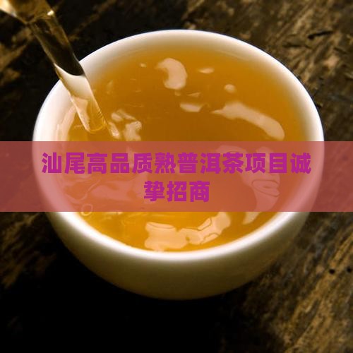 汕尾高品质熟普洱茶项目诚挚招商
