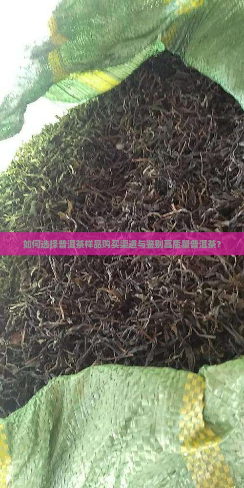 如何选择普洱茶样品购买渠道与鉴别高质量普洱茶？