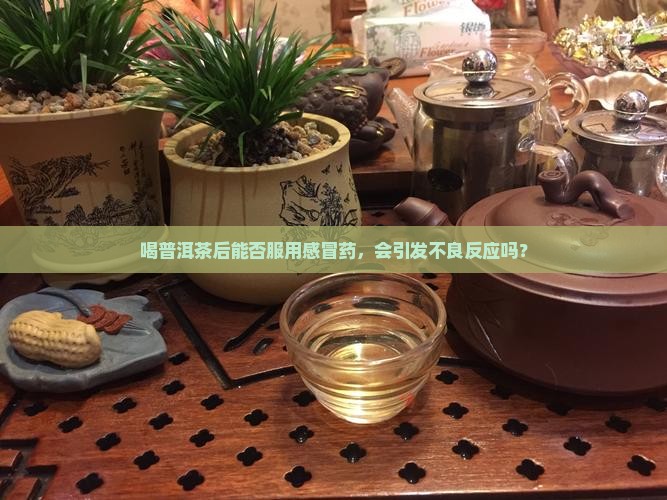 喝普洱茶后能否服用感冒药，会引发不良反应吗？