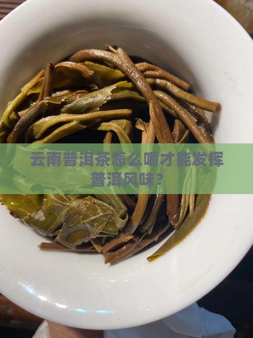 云南普洱茶怎么喝才能发挥普洱风味？