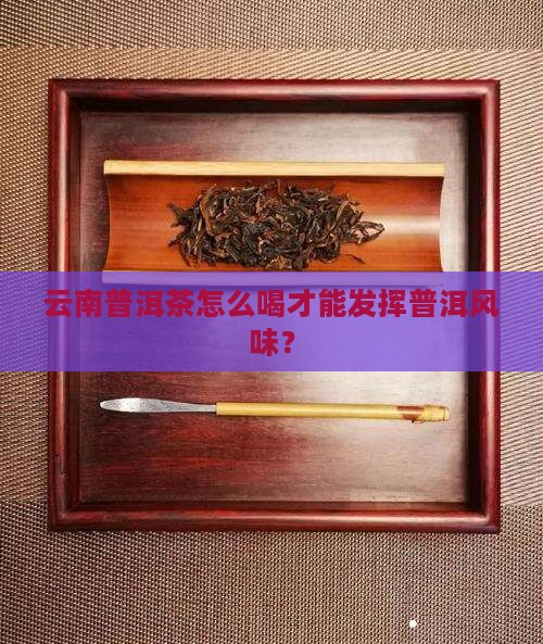 云南普洱茶怎么喝才能发挥普洱风味？