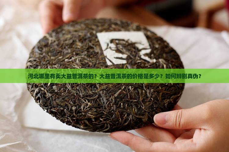 河北哪里有卖大益普洱茶的？大益普洱茶的价格是多少？如何辨别真伪？