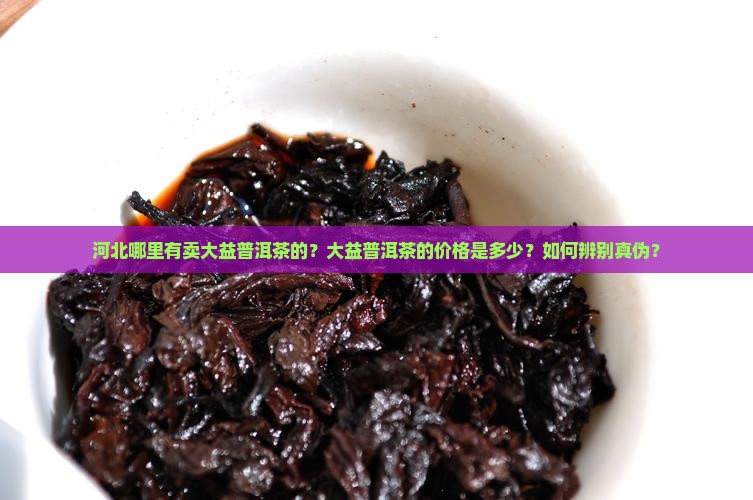 河北哪里有卖大益普洱茶的？大益普洱茶的价格是多少？如何辨别真伪？