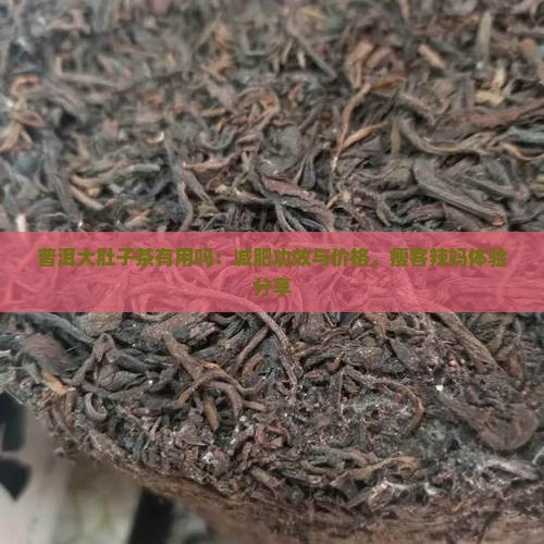 普洱大肚子茶有用吗：减肥功效与价格，瘦客辣妈体验分享