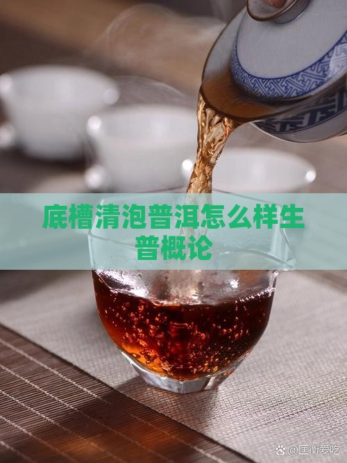 底槽清泡普洱怎么样生普概论