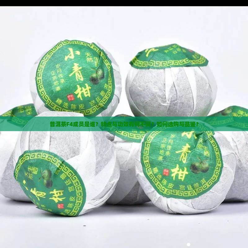 普洱茶F4成员是谁？特点与功效有何不同？如何选购与品鉴？