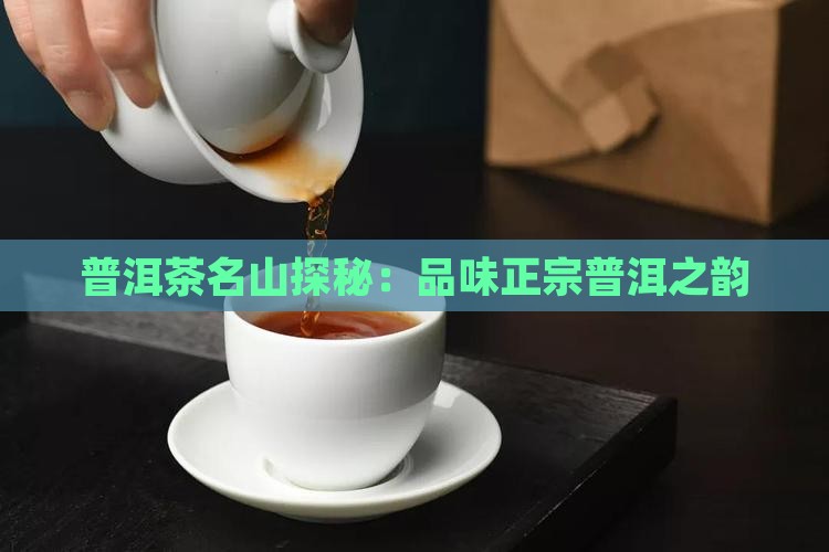 普洱茶名山探秘：品味正宗普洱之韵