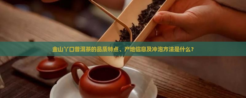 金山丫口普洱茶的品质特点、产地信息及冲泡方法是什么？
