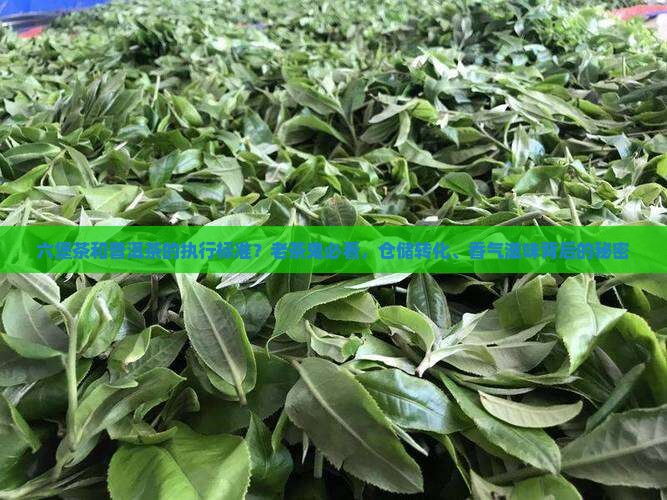六堡茶和普洱茶的执行标准？老茶鬼必看，仓储转化、香气滋味背后的秘密