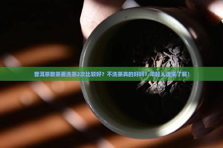 普洱茶散茶要洗茶2次比较好？不洗茶真的好吗？年轻人速来了解！