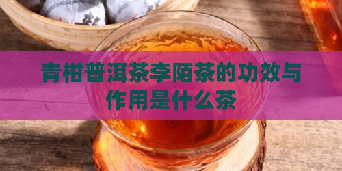 青柑普洱茶李陌茶的功效与作用是什么茶