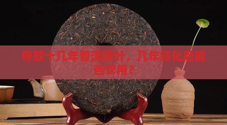 存放十几年普洱茶叶，几年陈化后能否饮用？