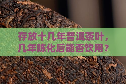 存放十几年普洱茶叶，几年陈化后能否饮用？