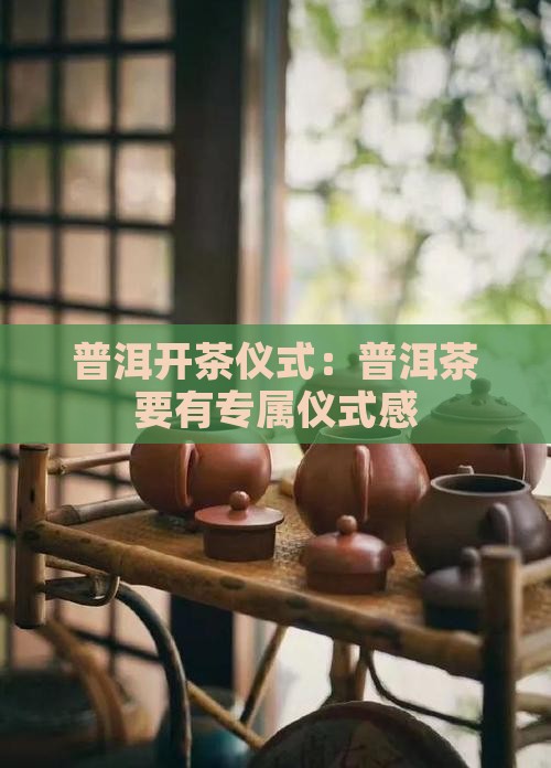 普洱开茶仪式：普洱茶要有专属仪式感
