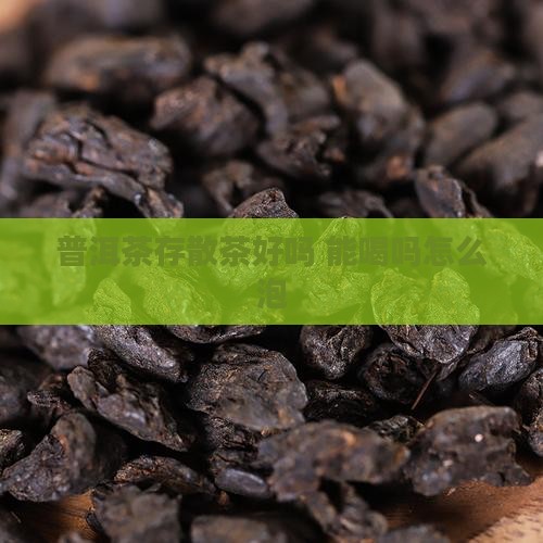 普洱茶存散茶好吗 能喝吗怎么泡