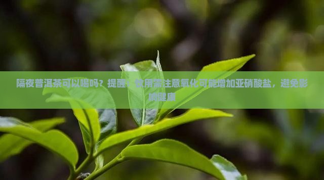 隔夜普洱茶可以喝吗？提醒：饮用需注意氧化可能增加亚硝酸盐，避免影响健康