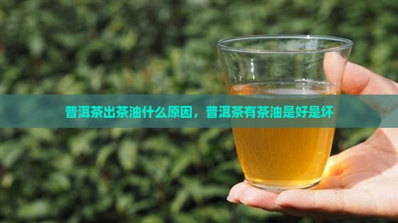 普洱茶出茶油什么原因，普洱茶有茶油是好是坏