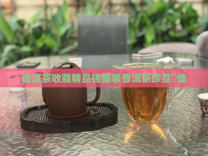 普洱茶收藏精品锡罐装普洱茶珍品钖储